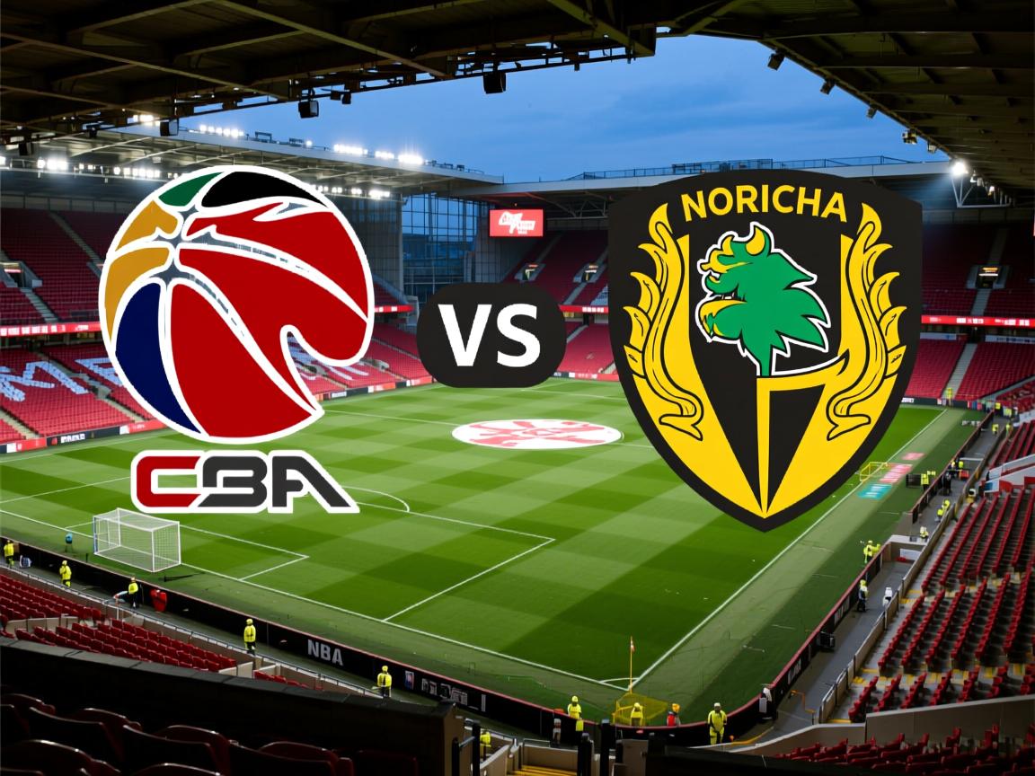 斯旺西将对阵诺里奇城，期待好结果  第2张