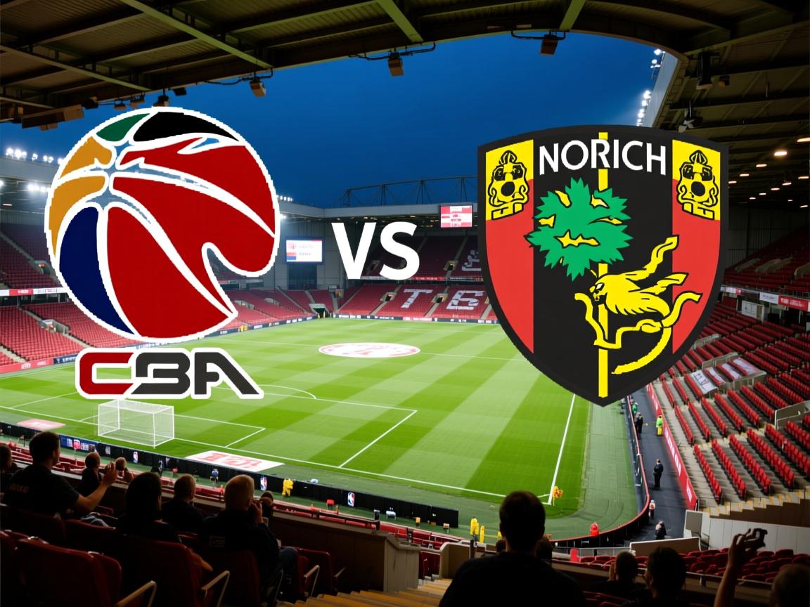 斯旺西将对阵诺里奇城，期待好结果  第4张