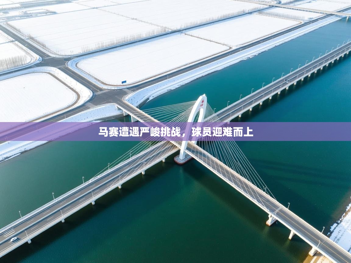 马赛遭遇严峻挑战，球员迎难而上  第2张