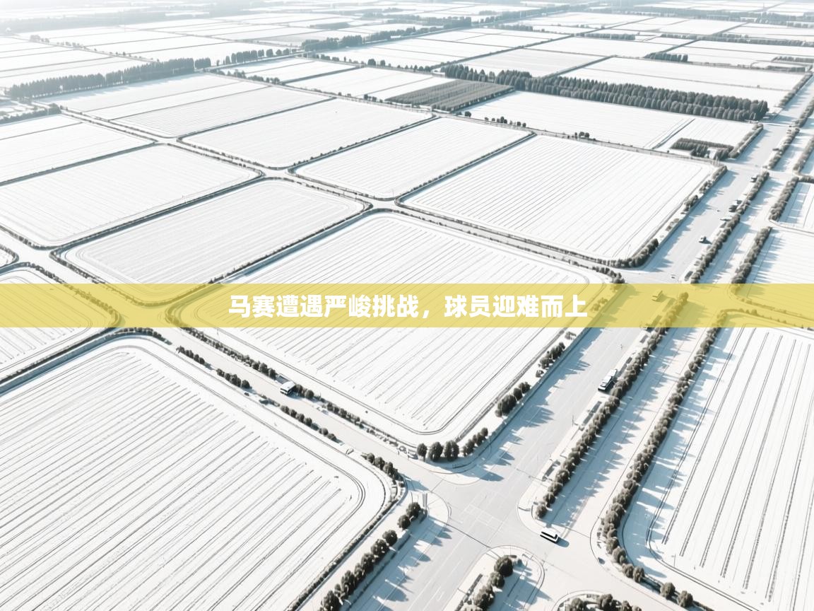 马赛遭遇严峻挑战，球员迎难而上  第1张